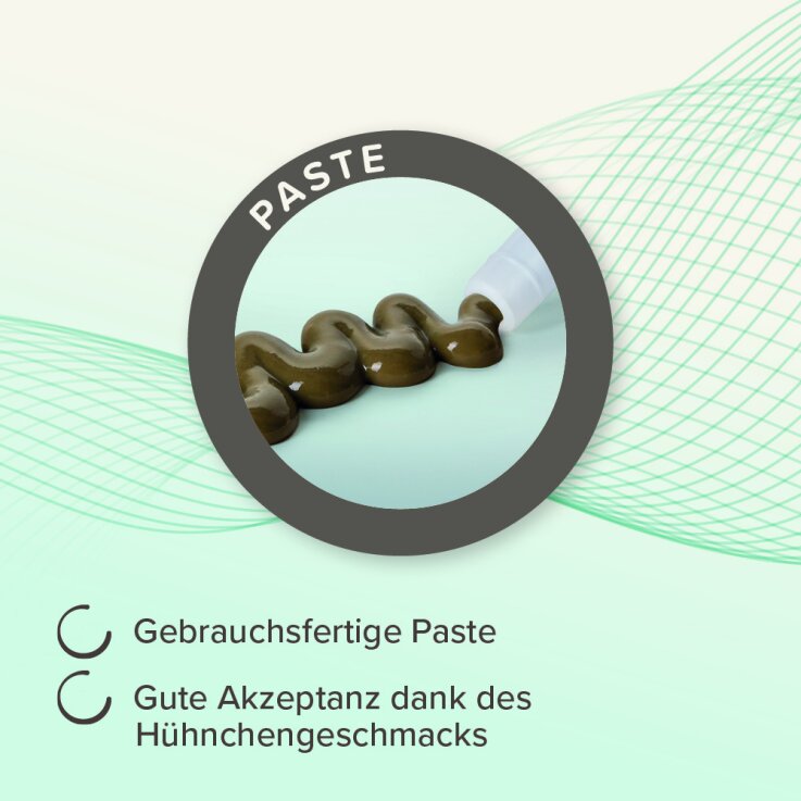 BEAPHAR IntestoPro Paste für Hunde, 2 x 20 ml