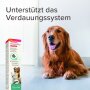 BEAPHAR IntestoPro Paste für Hunde, 2 x 20 ml