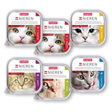 Katzen - Nassfutter BEAPHAR Nierendiät Mix Pack, 600 g