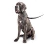 BEAPHAR Hundehalfter Gentle Leader®, schwarz, L