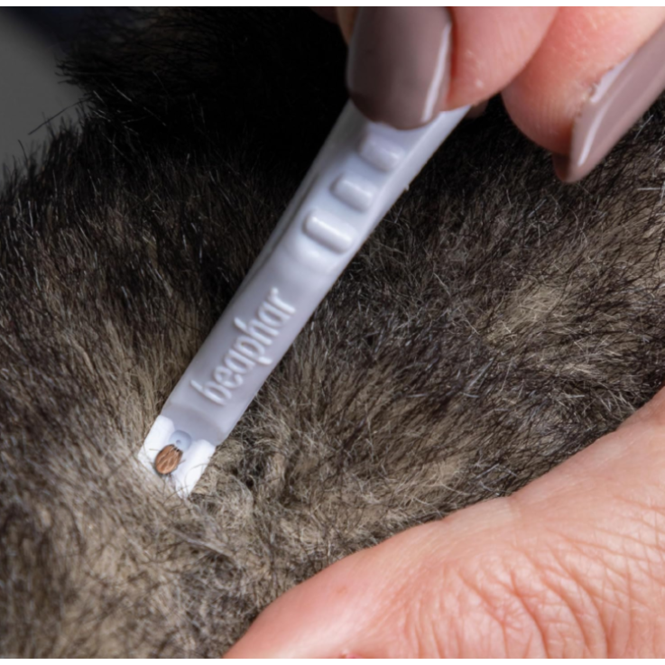 BEAPHAR Zeckenstift für Hunde & Katzen