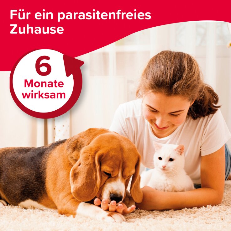 BEAPHAR Protecto Plus Umgebungsspray, 400 ml