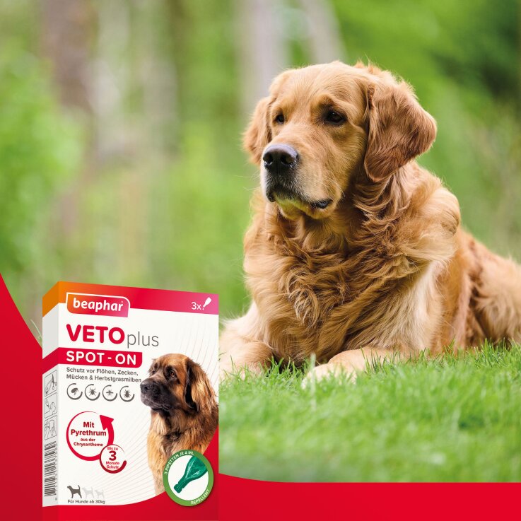BEAPHAR VETOplus SPOT-ON für große Hunde (ab 30 kg), 3 x 4 ml