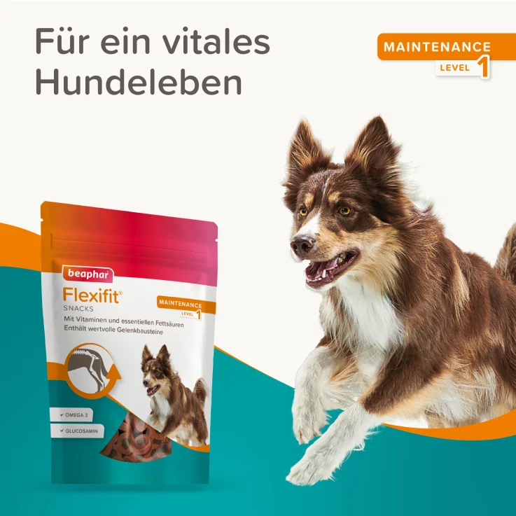 Hunde - Snack BEAPHAR Flexifit® Snacks, 150 g