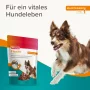 Hunde - Snack BEAPHAR Flexifit® Snacks, 150 g