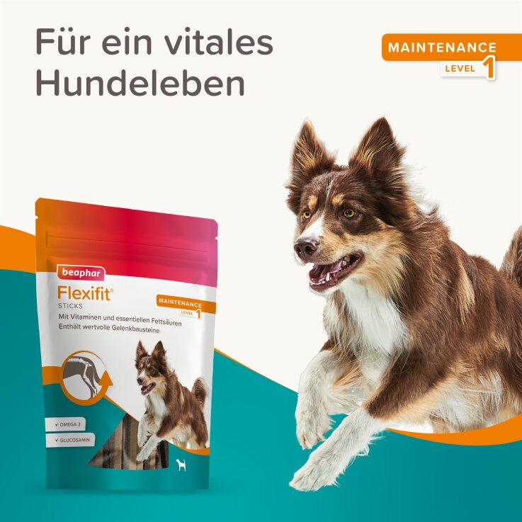 Hunde - Snack BEAPHAR Flexifit® Sticks, 7 Stk. / 175 g