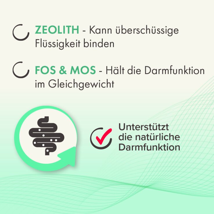 BEAPHAR IntestoPro Tabs für kleine Hunde, 20 Stück