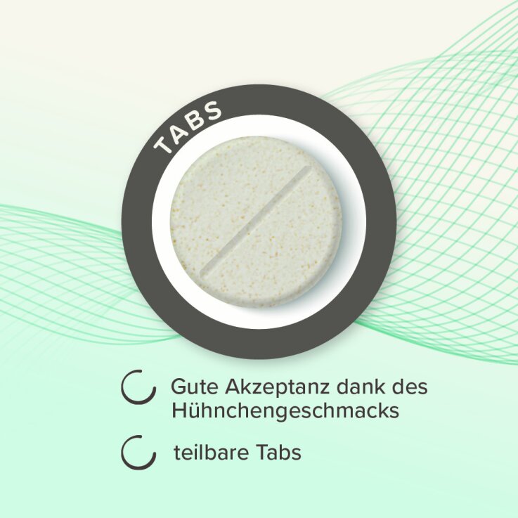 BEAPHAR IntestoPro Tabs für große Hunde, 20 Stück