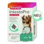 BEAPHAR IntestoPro Tabs für große Hunde, 20 Stück