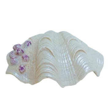 NOBBY Aqua Ornaments "Muschel", 14,5 x 10,7 x...