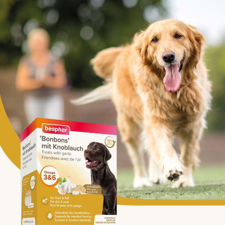 Hunde - Snack BEAPHAR "Bonbons" mit Knoblauch, 245 g