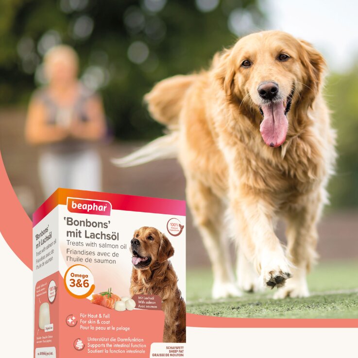 Hunde - Snack BEAPHAR "Bonbons" mit Lachsöl, 245 g