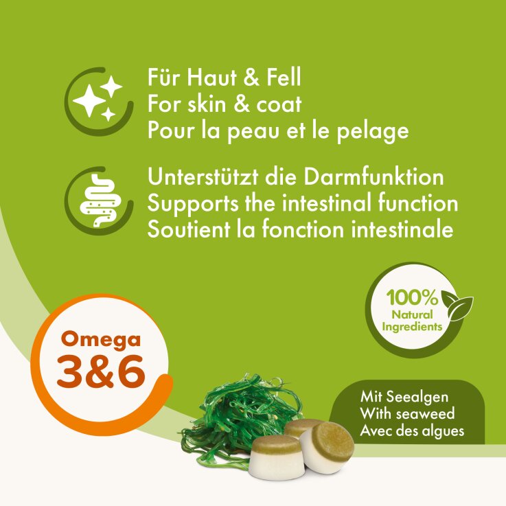 Hunde - Snack BEAPHAR "Bonbons" mit Seealgen, 245 g