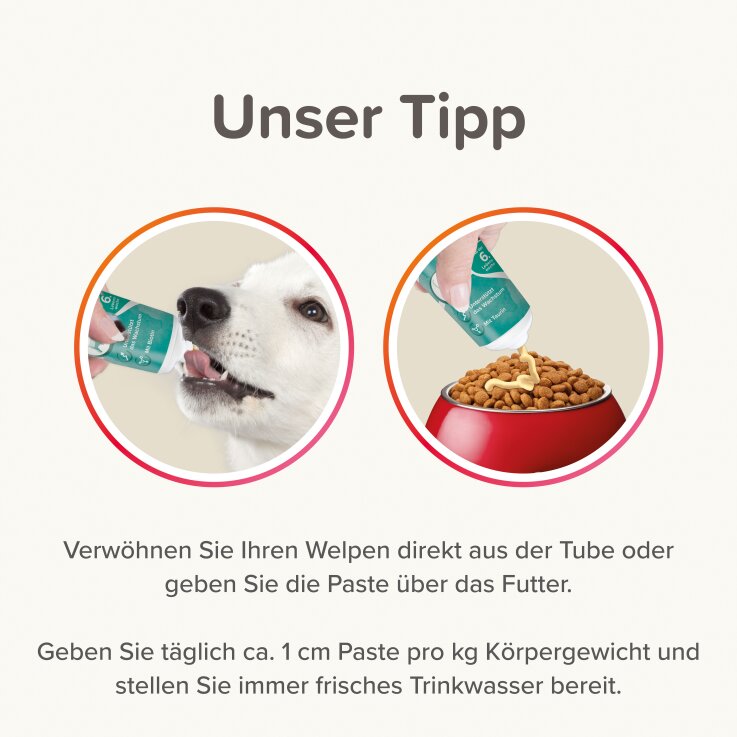 BEAPHAR Junior-Paste für Hunde, 100 g