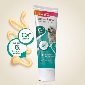 BEAPHAR Junior-Paste für Hunde, 100 g