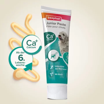 BEAPHAR Junior-Paste für Hunde, 100 g