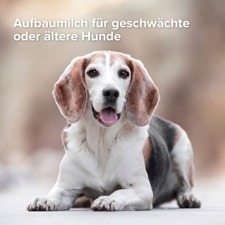 BEAPHAR Lactol Aufzucht-Milch Hund
