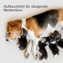 BEAPHAR Lactol Aufzucht-Milch Hund