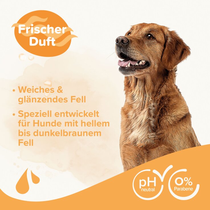 BEAPHAR Hunde-Shampoo für braunes Fell, 250 ml