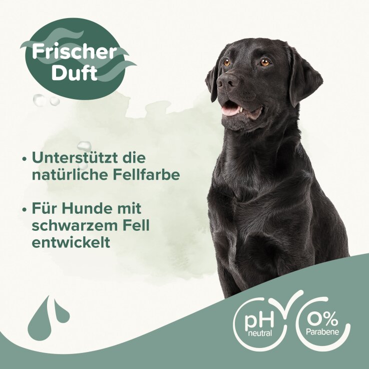 BEAPHAR Hunde-Shampoo für schwarzes Fell, 250 ml