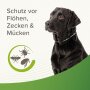 BEAPHAR Zecken- und Flohschutz Halsband für Hunde, reflektierend, 65 cm