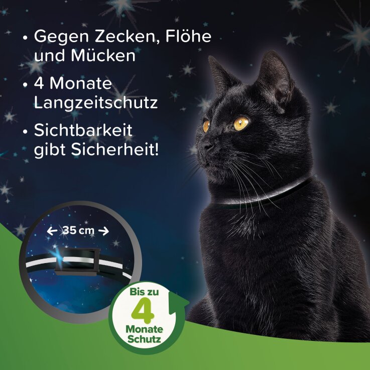 BEAPHAR Zecken- und Flohschutz Halsband für Katzen, reflektierend, 35 cm