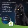 BEAPHAR Zecken- und Flohschutz Halsband für Katzen, reflektierend, 35 cm