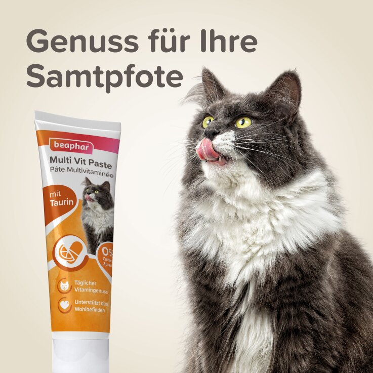 BEAPHAR Multi Vit Paste für Katzen