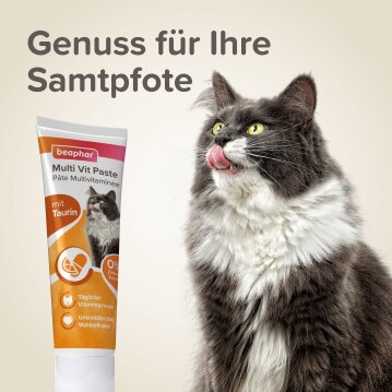 BEAPHAR Multi Vit Paste für Katzen