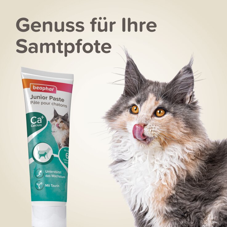 BEAPHAR Junior Paste für Katzen, 100 g