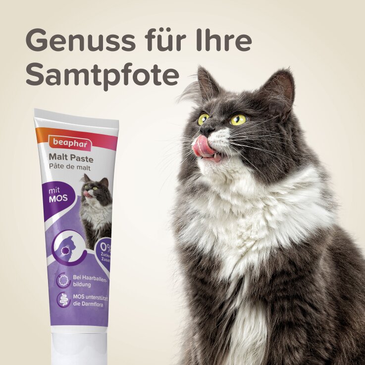 BEAPHAR Malt-Paste für Katzen