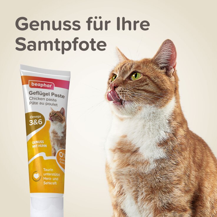 BEAPHAR Geflügel-Paste für Katzen, 100 g
