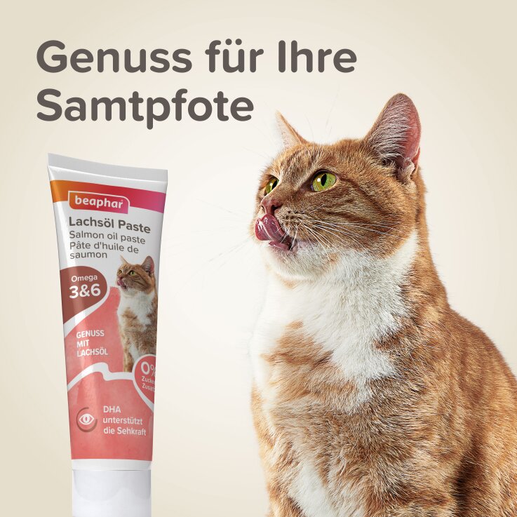 BEAPHAR Lachsöl Paste für Katzen