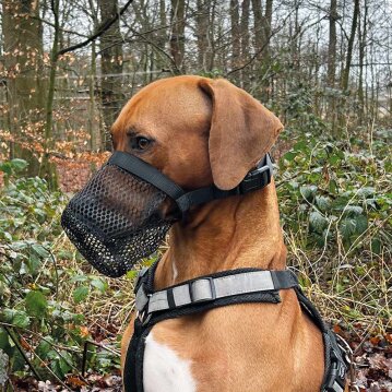 NOBBY Giftköderschutz, schwarz