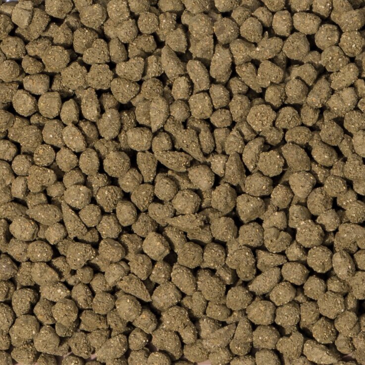 BEAPHAR Care+ Kaninchen Senior Futter, 1,5 kg