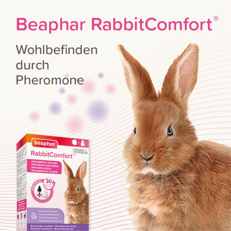 BEAPHAR RabbitComfort® Verdampfer & Flakon (DE 95223688)