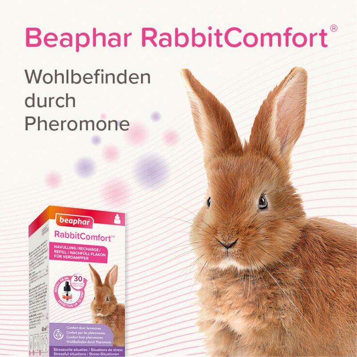 BEAPHAR RabbitComfort® Nachfüll-Flakon für Verdampfer, 48 ml