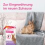 BEAPHAR RabbitComfort® Nachfüll-Flakon für Verdampfer, 48 ml