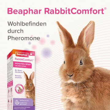 BEAPHAR RabbitComfort® Wohlfühl-Spray, 30 ml