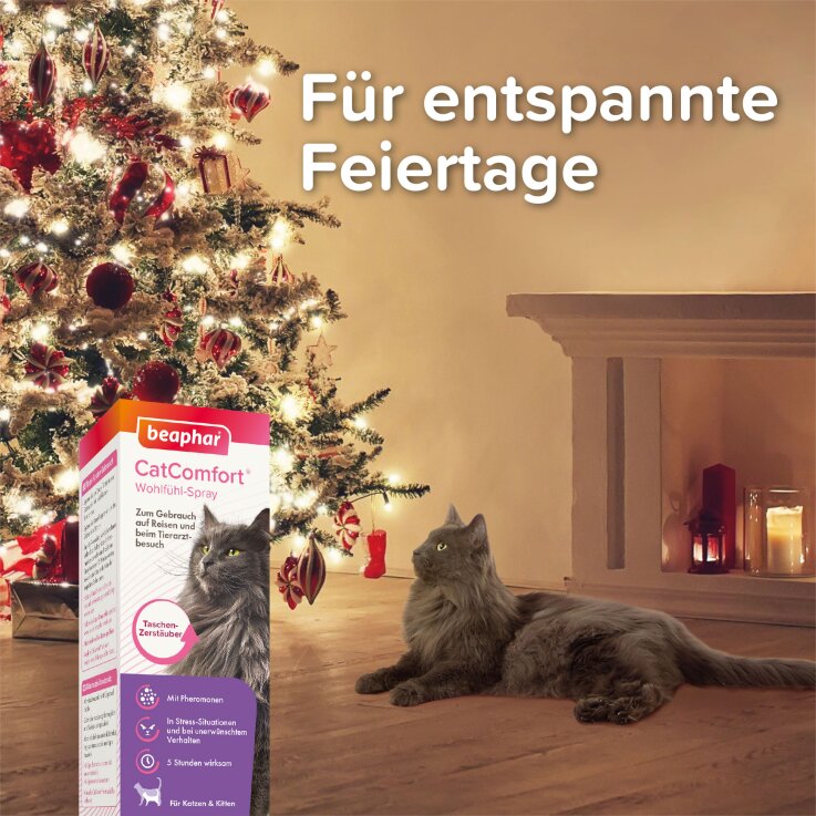 BEAPHAR CatComfort® Wohlfühl-Spray, 60 ml