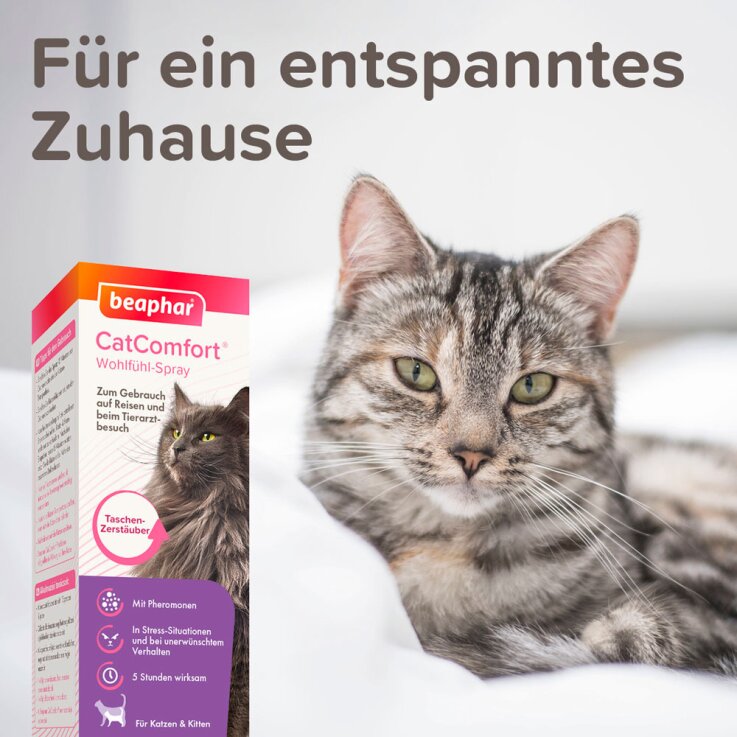 BEAPHAR CatComfort® Wohlfühl-Spray, 60 ml