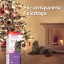 BEAPHAR CatComfort® Wohlfühl-Spray