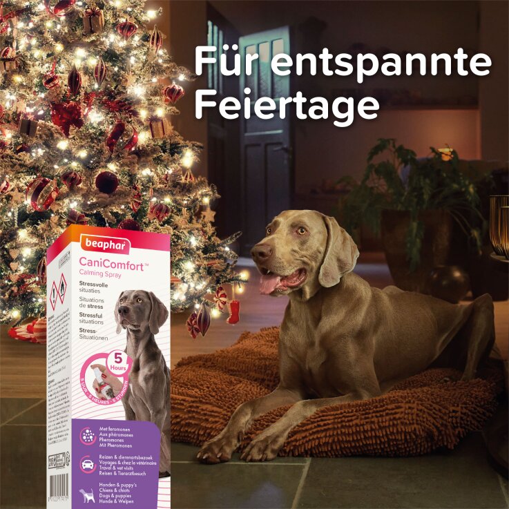 BEAPHAR CaniComfort® Wohlfühl-Spray für Hunde