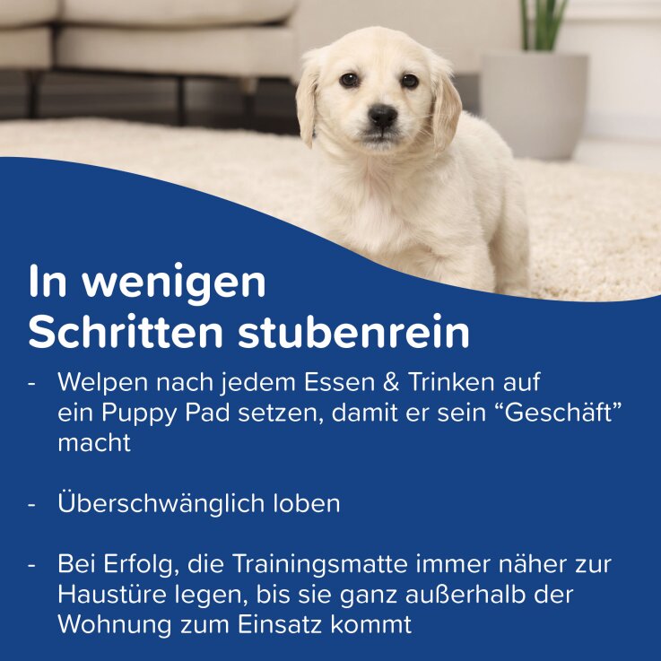 BEAPHAR Puppy Pads, 60 x 60 cm, 7 Stk.