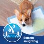 BEAPHAR Puppy Pads, 60 x 60 cm, 7 Stk.