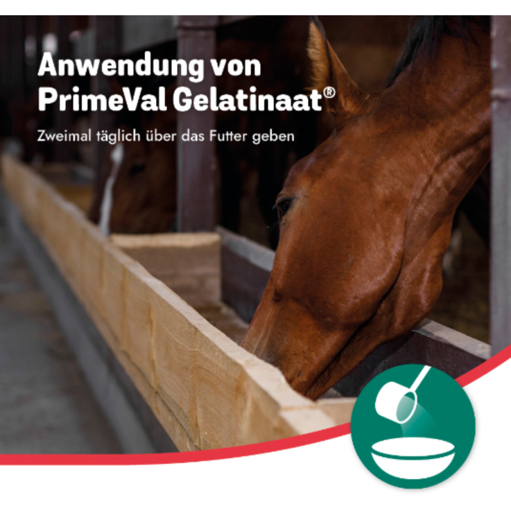 BEAPHAR PrimeVal Gelatinaat® Puder