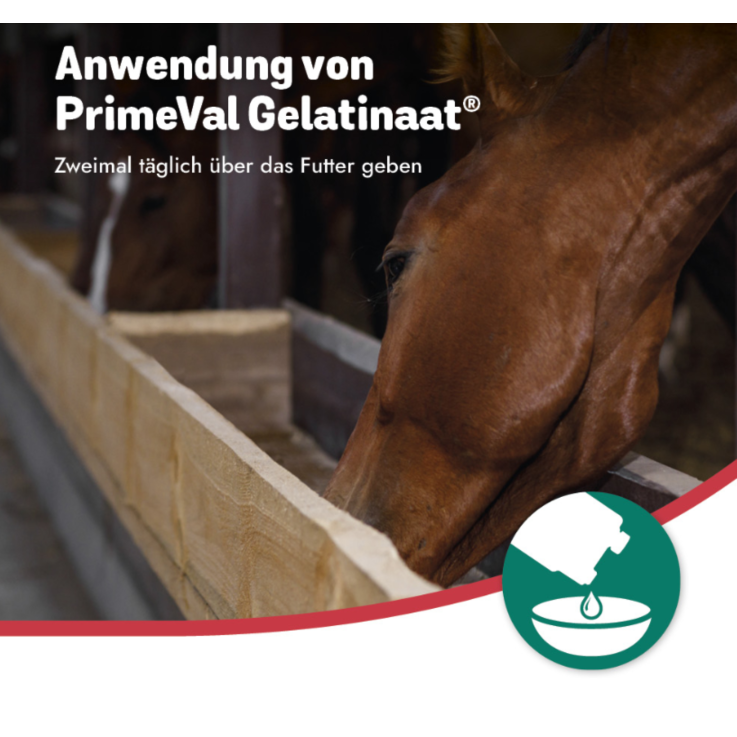 BEAPHAR PrimeVal Gelatinaat® Liquid, 1 L