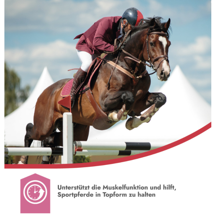 BEAPHAR PrimeVal Performance Support, 1 kg