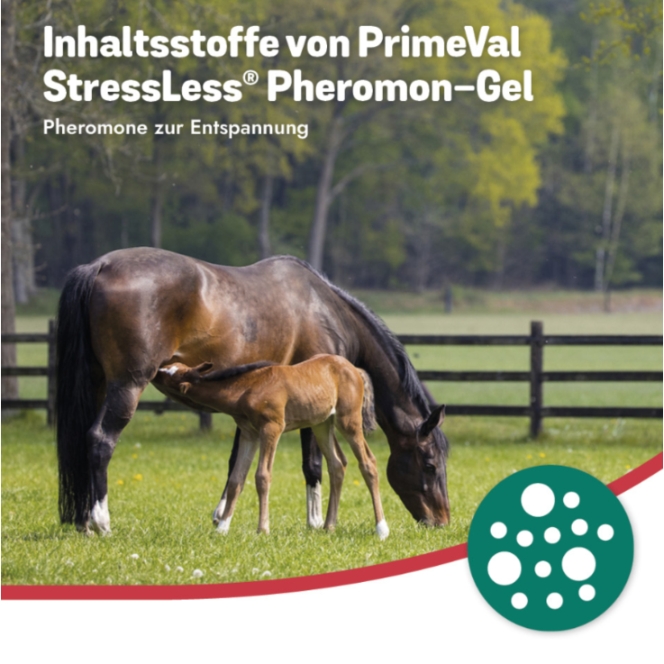 BEAPHAR PrimeVal StressLess® Pheromon Gel, 10 x 5 ml
