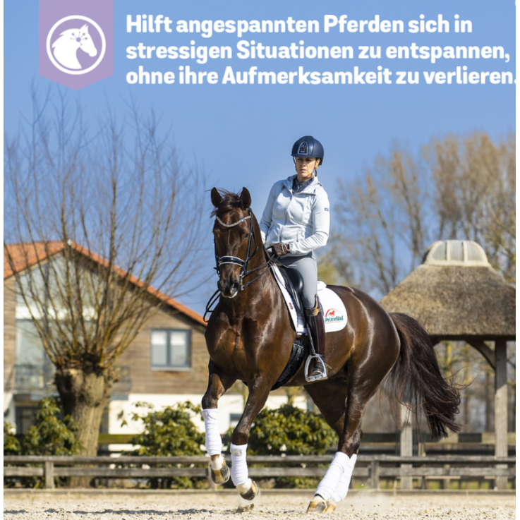 BEAPHAR PrimeVal StressLess® Paste, 30 ml